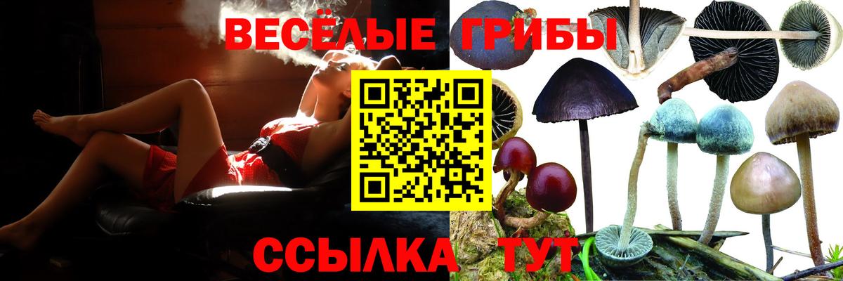 Галлюциногенные грибы ЛСД Урус-Мартан